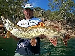 Via Del Caminante Madrigalejo