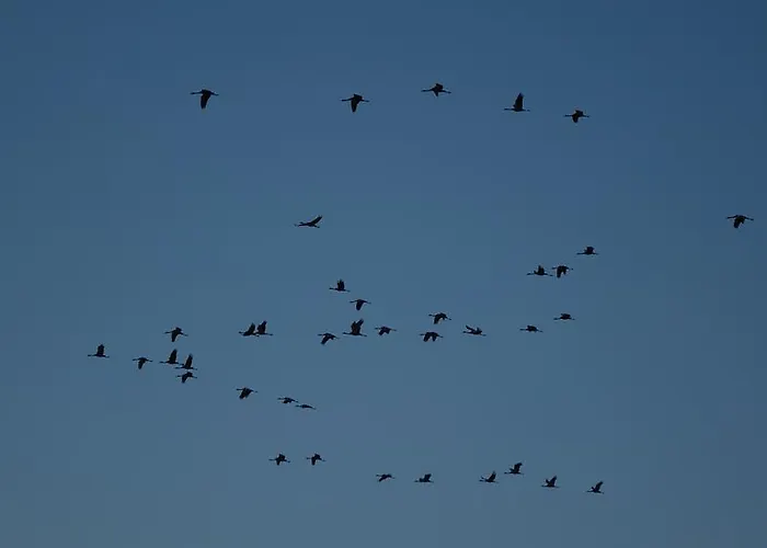 Via Del Caminante Gæstehus