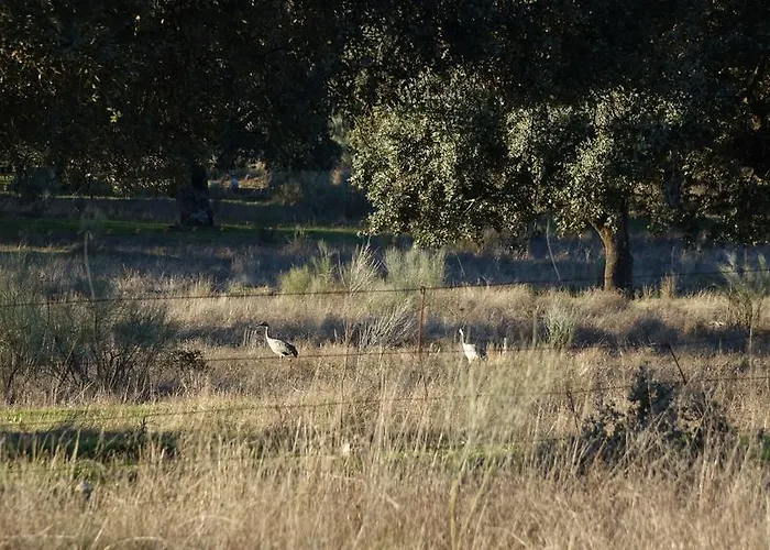 Via Del Caminante Gæstehus 4*