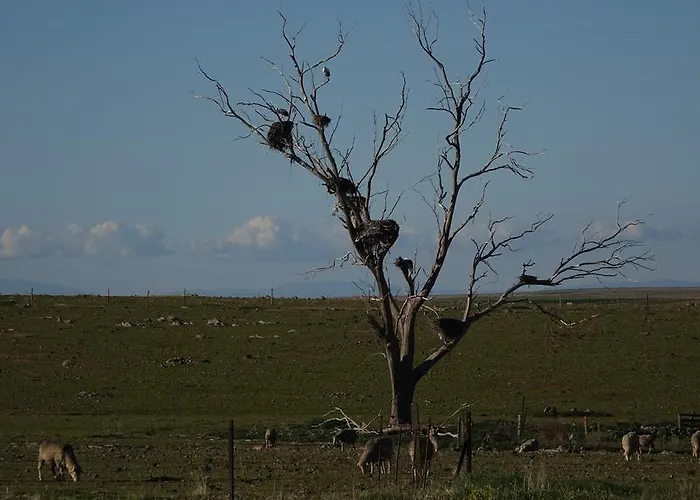 Via Del Caminante Gæstehus Madrigalejo