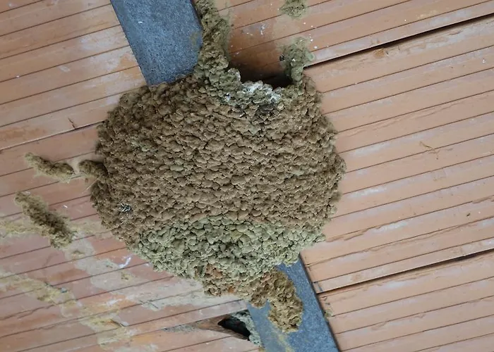 Gæstehus Via Del Caminante 4*